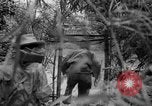 Image of Vietnamese troops Vietnam, 1951, second 31 stock footage video 65675043788