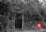 Image of Vietnamese troops Vietnam, 1951, second 33 stock footage video 65675043788