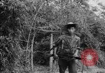 Image of Vietnamese troops Vietnam, 1951, second 35 stock footage video 65675043788