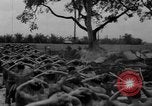 Image of French troops Vietnam, 1951, second 32 stock footage video 65675043789