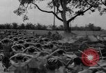 Image of French troops Vietnam, 1951, second 33 stock footage video 65675043789