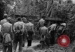 Image of French troops Vietnam, 1951, second 50 stock footage video 65675043789
