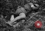 Image of French Indo-china war Vietnam, 1951, second 44 stock footage video 65675043791
