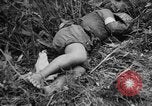 Image of French Indo-china war Vietnam, 1951, second 48 stock footage video 65675043791