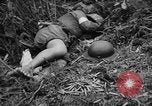 Image of French Indo-china war Vietnam, 1951, second 50 stock footage video 65675043791