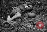 Image of French Indo-china war Vietnam, 1951, second 52 stock footage video 65675043791