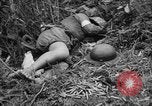 Image of French Indo-china war Vietnam, 1951, second 55 stock footage video 65675043791