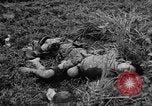 Image of French Indo-china war Vietnam, 1951, second 57 stock footage video 65675043791