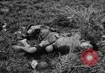 Image of French Indo-china war Vietnam, 1951, second 59 stock footage video 65675043791