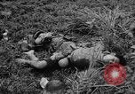 Image of French Indo-china war Vietnam, 1951, second 60 stock footage video 65675043791