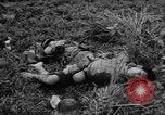 Image of French Indo-china war Vietnam, 1951, second 61 stock footage video 65675043791