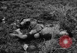 Image of French Indo-china war Vietnam, 1951, second 62 stock footage video 65675043791