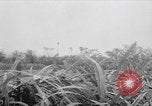 Image of French-Indochina war Indochina, 1951, second 1 stock footage video 65675043792