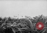 Image of French-Indochina war Indochina, 1951, second 4 stock footage video 65675043792