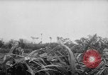 Image of French-Indochina war Indochina, 1951, second 5 stock footage video 65675043792