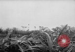 Image of French-Indochina war Indochina, 1951, second 7 stock footage video 65675043792