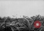 Image of French-Indochina war Indochina, 1951, second 9 stock footage video 65675043792