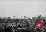 Image of French-Indochina war Indochina, 1951, second 10 stock footage video 65675043792