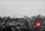 Image of French-Indochina war Indochina, 1951, second 11 stock footage video 65675043792