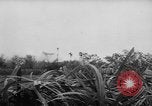 Image of French-Indochina war Indochina, 1951, second 12 stock footage video 65675043792