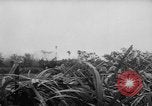 Image of French-Indochina war Indochina, 1951, second 13 stock footage video 65675043792