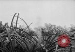 Image of French-Indochina war Indochina, 1951, second 15 stock footage video 65675043792