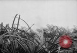 Image of French-Indochina war Indochina, 1951, second 16 stock footage video 65675043792