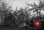 Image of French-Indochina war Indochina, 1951, second 17 stock footage video 65675043792
