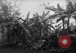 Image of French-Indochina war Indochina, 1951, second 18 stock footage video 65675043792