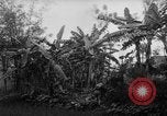 Image of French-Indochina war Indochina, 1951, second 19 stock footage video 65675043792