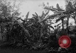 Image of French-Indochina war Indochina, 1951, second 20 stock footage video 65675043792