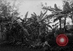 Image of French-Indochina war Indochina, 1951, second 21 stock footage video 65675043792