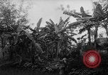 Image of French-Indochina war Indochina, 1951, second 22 stock footage video 65675043792