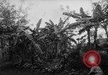 Image of French-Indochina war Indochina, 1951, second 23 stock footage video 65675043792