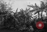 Image of French-Indochina war Indochina, 1951, second 24 stock footage video 65675043792