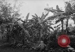 Image of French-Indochina war Indochina, 1951, second 25 stock footage video 65675043792