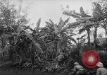 Image of French-Indochina war Indochina, 1951, second 26 stock footage video 65675043792