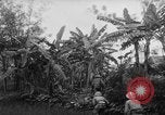 Image of French-Indochina war Indochina, 1951, second 27 stock footage video 65675043792