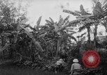 Image of French-Indochina war Indochina, 1951, second 28 stock footage video 65675043792