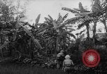 Image of French-Indochina war Indochina, 1951, second 29 stock footage video 65675043792