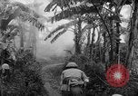 Image of French-Indochina war Indochina, 1951, second 30 stock footage video 65675043792
