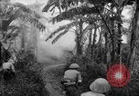 Image of French-Indochina war Indochina, 1951, second 31 stock footage video 65675043792