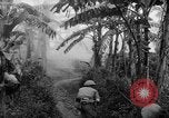 Image of French-Indochina war Indochina, 1951, second 32 stock footage video 65675043792