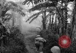 Image of French-Indochina war Indochina, 1951, second 33 stock footage video 65675043792