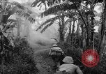 Image of French-Indochina war Indochina, 1951, second 34 stock footage video 65675043792
