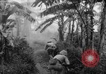 Image of French-Indochina war Indochina, 1951, second 35 stock footage video 65675043792