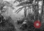 Image of French-Indochina war Indochina, 1951, second 36 stock footage video 65675043792