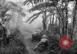 Image of French-Indochina war Indochina, 1951, second 37 stock footage video 65675043792