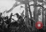 Image of French-Indochina war Indochina, 1951, second 39 stock footage video 65675043792