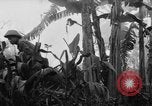Image of French-Indochina war Indochina, 1951, second 41 stock footage video 65675043792